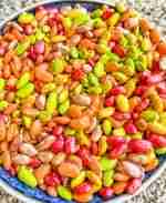 Fall Bean Sensory Filler