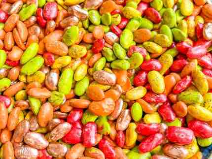Fall Bean Sensory Filler