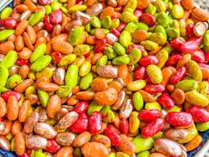 Fall Bean Sensory Filler