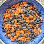 Halloween Bean Sensory Filler
