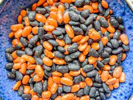 Halloween Bean Sensory Filler