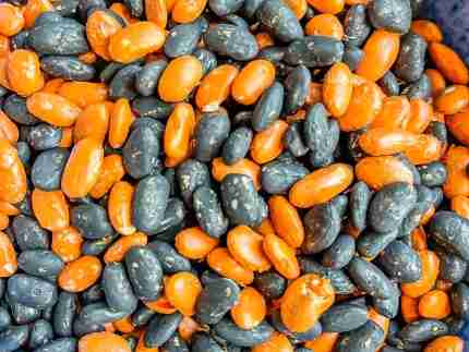 Halloween Bean Sensory Filler