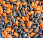 Halloween Bean Sensory Filler