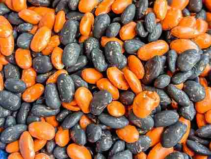 Halloween Bean Sensory Filler