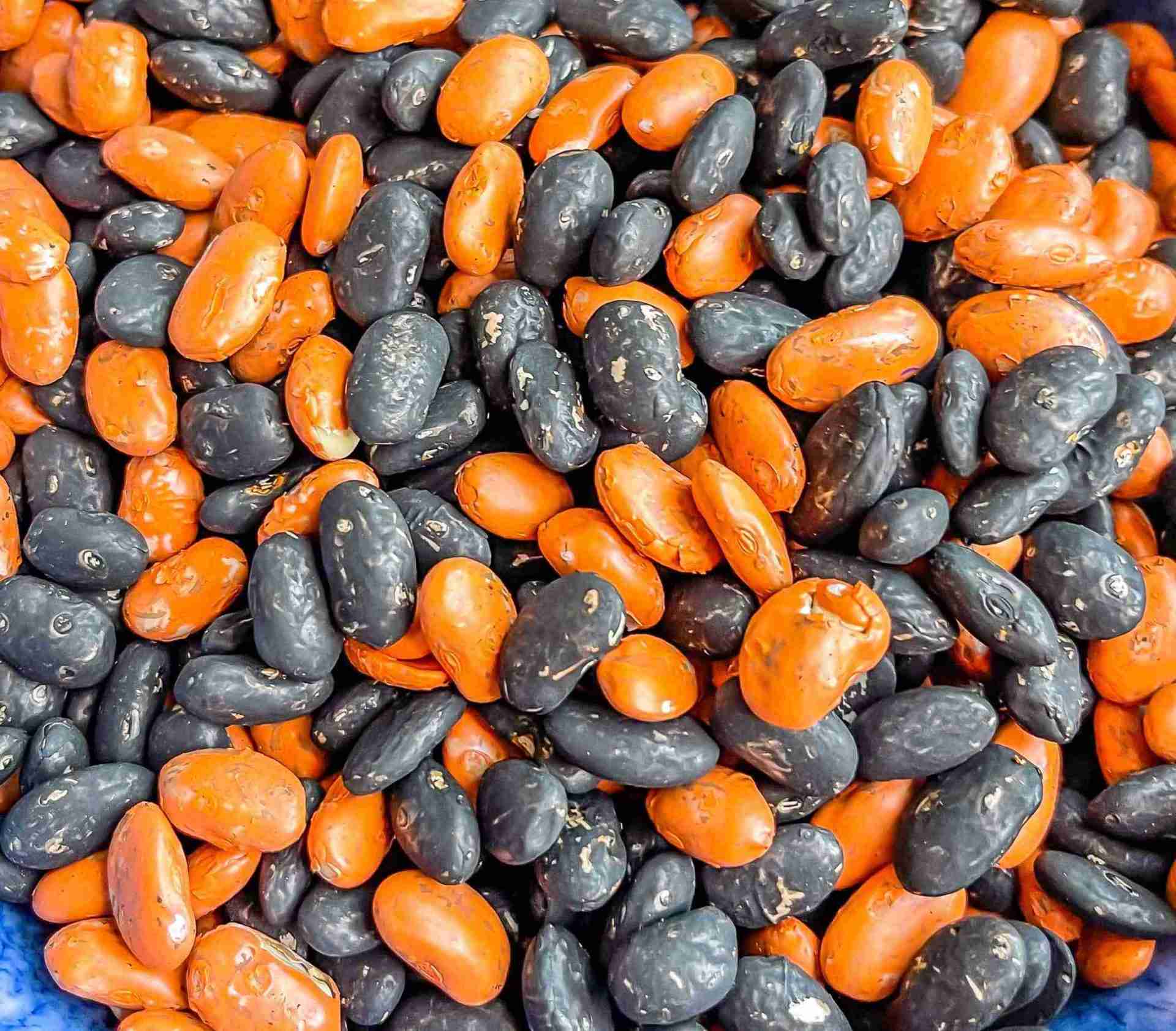 Halloween and Fall Mixes-37 Halloween Bean Sensory Filler