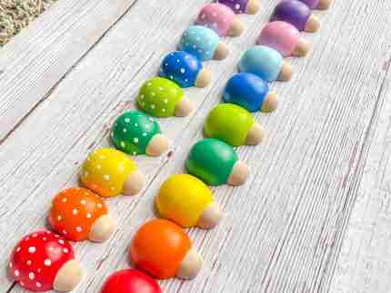 Rainbow wooden ladybugs sensory bin accessories