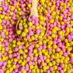 Lemonade Chickpea Sensory Bin Filler