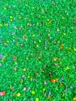 Spring Rice With Flowers
