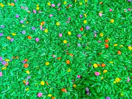 Spring Rice With Flowers