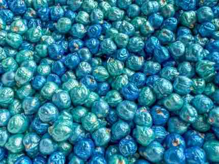Ocean Chickpeas Sensory Filler