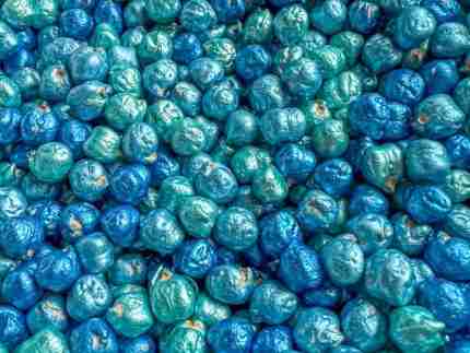 Ocean Chickpeas Sensory Filler