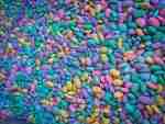 Pastel beans Sensory bin filler