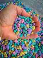 Pastel beans Sensory bin filler