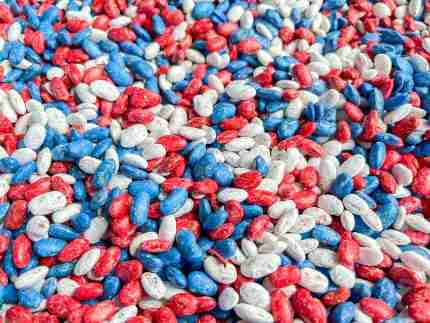 Patriotic Beans Sensory Filler