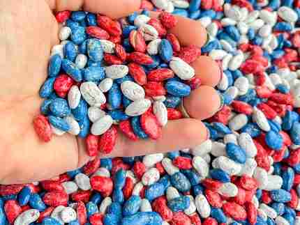 Patriotic Beans Sensory Filler