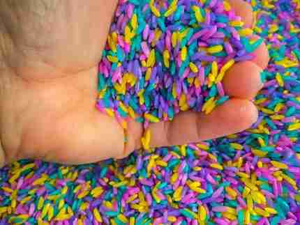 Spring sensory rice