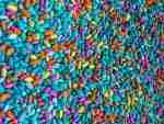 summer beans sensory filler