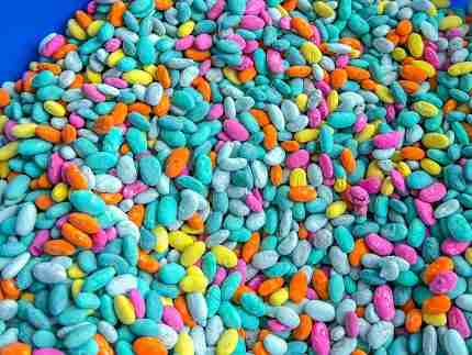 summer beans sensory filler