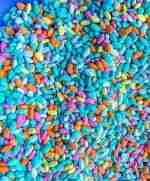 summer beans sensory filler