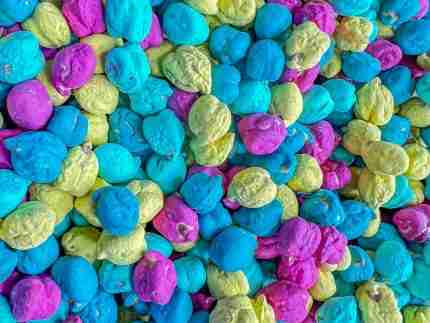 Bold Tropical Chickpea Sensory Filler
