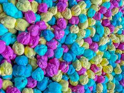 Bold Tropical Chickpea Sensory Filler