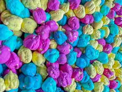 Bold Tropical Chickpea Sensory Filler