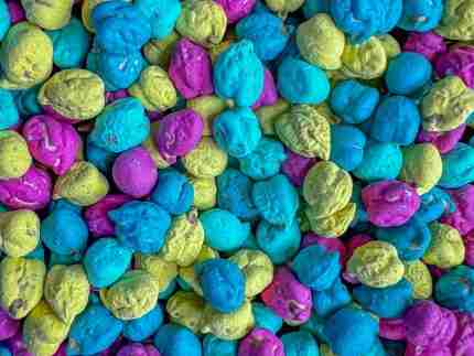 Bold Tropical Chickpea Sensory Filler