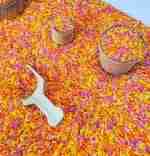 Summer Sensory Rice