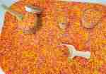 Summer Sensory Rice