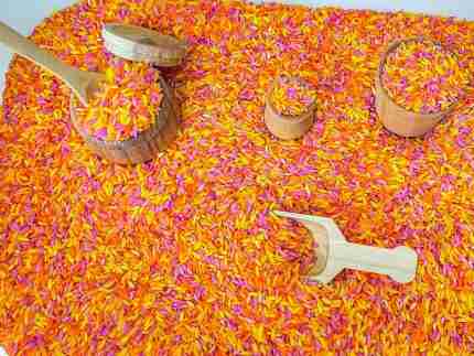Summer Sensory Rice