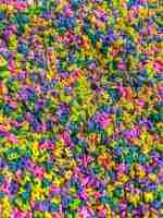 Tropical Alphabet Pasta Sensory Filler 1