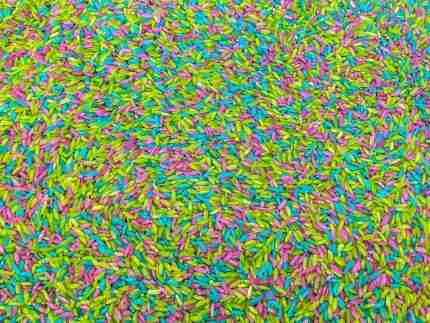 Tropical Sensory Rice