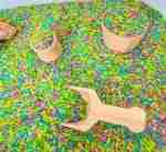 Tropical Sensory Rice