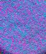 Unicorn Sensory Rice