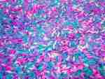 Valentines Day Sensory Rice