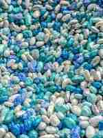 Winter mixed beans sensory filler