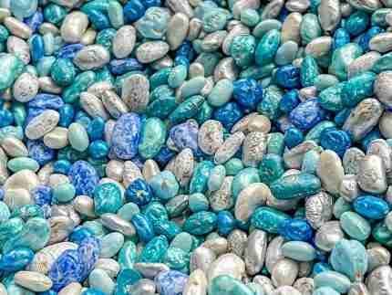 Winter mixed beans sensory filler