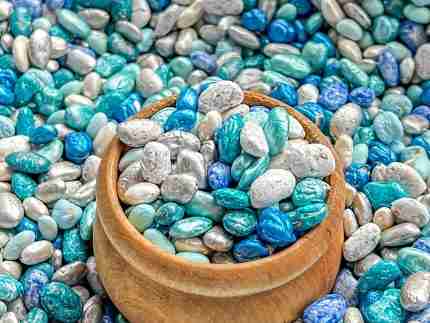 Winter mixed beans sensory filler