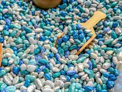 Winter mixed beans sensory filler