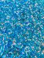 Winter Sensory Rice, Frozen Sensory Rice