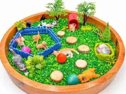 pet sensory bin