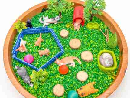 Pets Sensory Bin - Image 4