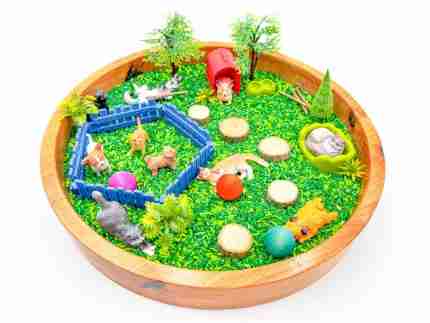 Pets Sensory Bin - Image 3
