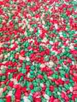 Christmas Beans - Image 3