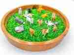Pets Sensory Bin - Image 7