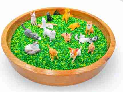Pets Sensory Bin - Image 7