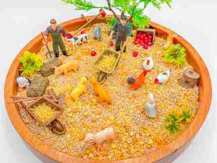 Fall Farming Sensory Bin - Image 5