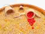 Fall Farming Sensory Bin - Image 6