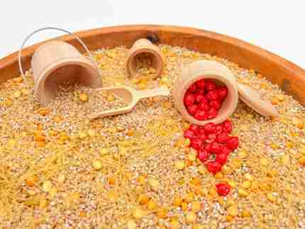 Fall Farming Sensory Bin - Image 6