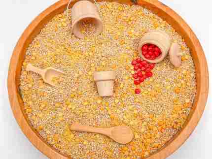 Fall Farming Sensory Bin - Image 7